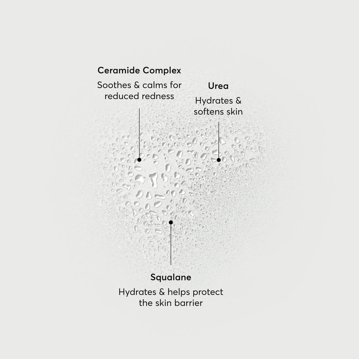barrier-bounce-bi-phase-mist-d8 NATR-10167-Alt-Images-Barrier-Bounce-Bi-Phase-Toner-Mist_01.webp