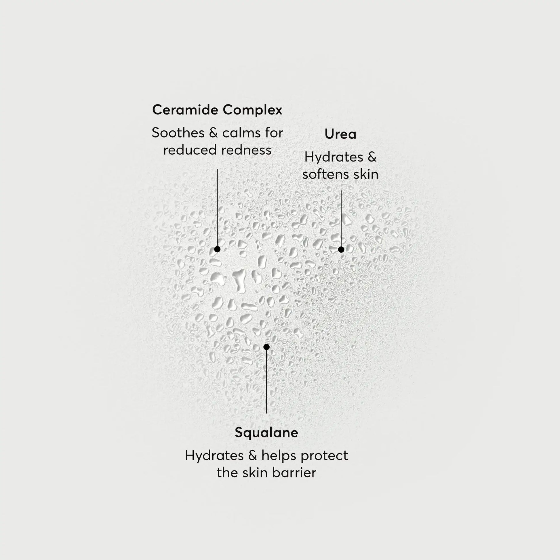 barrier-bounce-bi-phase-mist-d8 NATR-10167-Alt-Images-Barrier-Bounce-Bi-Phase-Toner-Mist_01.webp